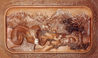 Rocky Mountain Sheep