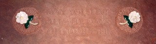 May you live all the days of your life