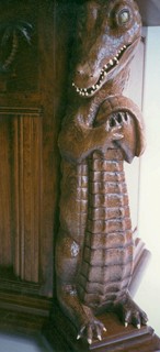Alligator Detail